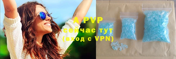 прущие грибы Белокуриха