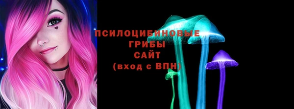 прущие грибы Белокуриха