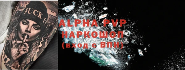 прущие грибы Белокуриха