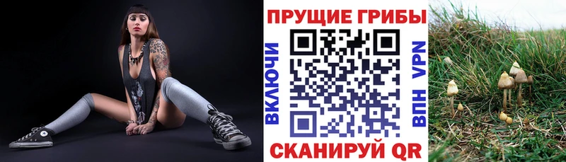 купить закладку  Называевск  Псилоцибиновые грибы ЛСД 